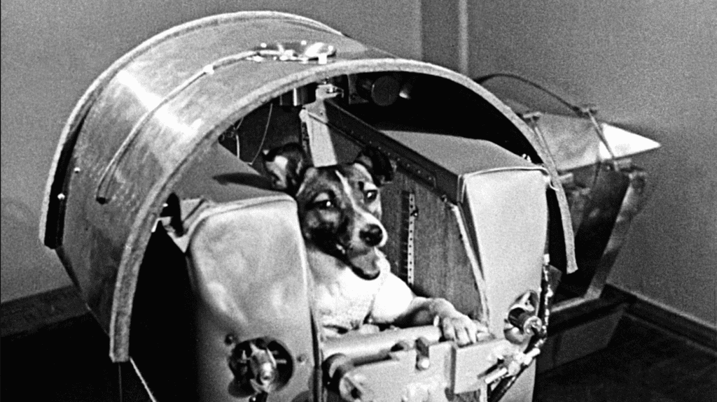 LAIKA : A Unjustified Journey From Street to Space